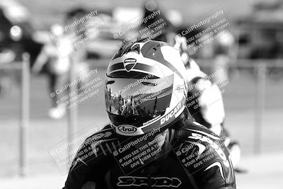 media/Feb-23-2025-2WTD (Sun) [[9604a77d5d]]/1-Around the Pits/